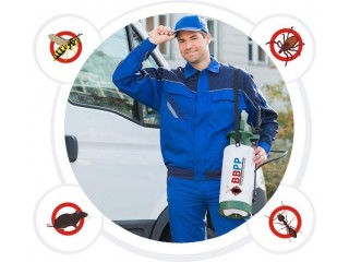 Pest Control Etobicoke - Professional Pest Exterminator