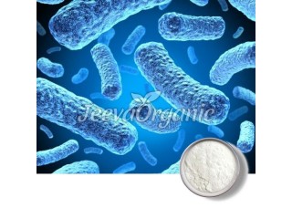 Bifidobacterium Breve Powder Supplier | Bulk Bifidobacterium breve Powder 400 B cfu/g