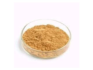 Bulk Organic Monk Fruit Powder | Top Monk Fruit Powder Suppliers