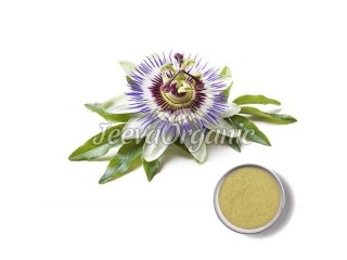 Best Passion Flower Powder Supplier | Bulk Passion Flower 4:1 Powder