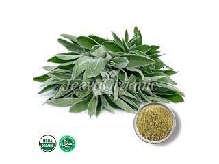 Top Sage Leaf Extract Powder Suppliers | Bulk Sage Leaf Extract Powder