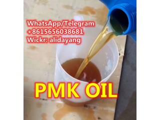 New PMK ethyl glycidate Pmk Oil PMK Powder CAS